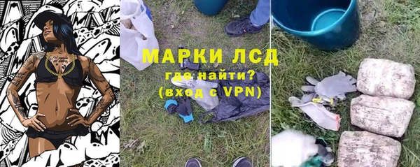 apvp Арсеньев