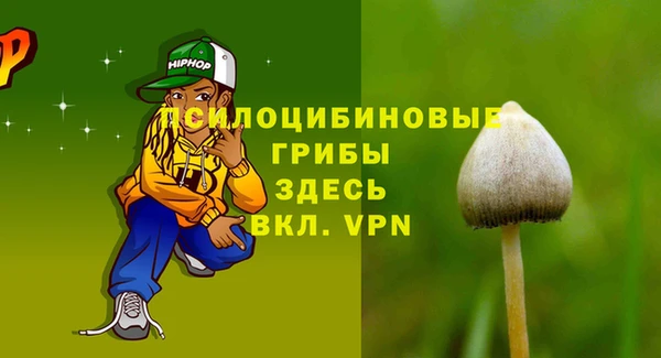амф Аркадак