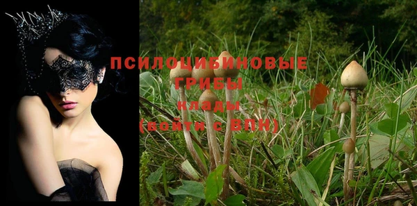 apvp Арсеньев