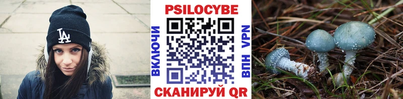 нарко площадка состав  Сунжа  Галлюциногенные грибы ЛСД 